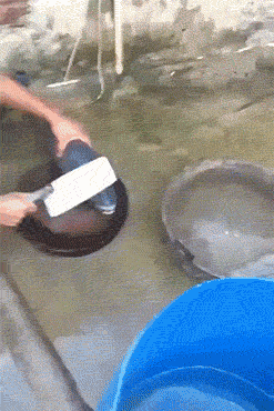 鱼：哪有那么容易就吃到我…动物gif搞笑图片