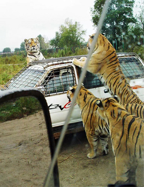 兄弟们，快来看看是不是叫的外卖到了动物gif搞笑图片