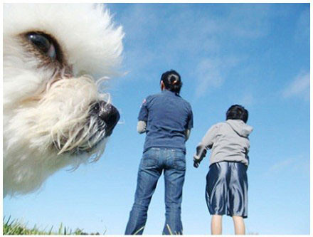 好吧，你们都是抢镜的高手！！！动物gif搞笑图片