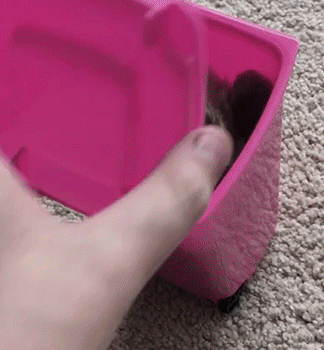 喵星人，你真会找地方动物gif搞笑图片