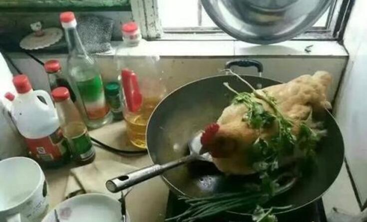 今天炖只鸡补补脑动物gif搞笑图片