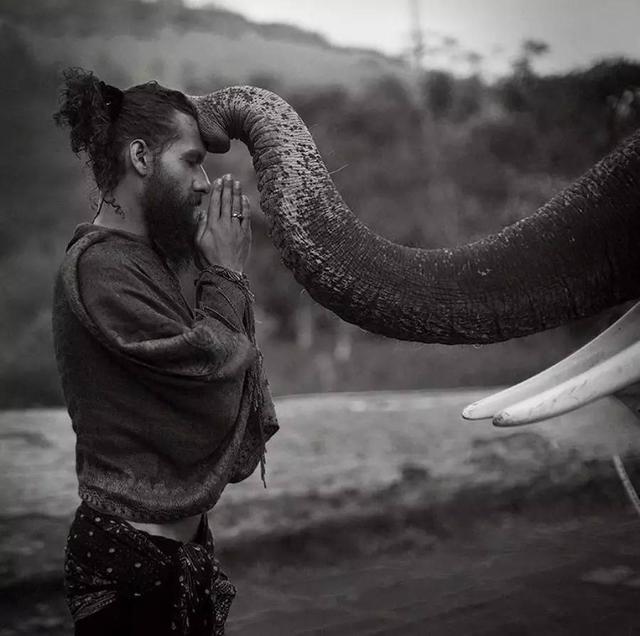 赐予你力量动物gif搞笑图片