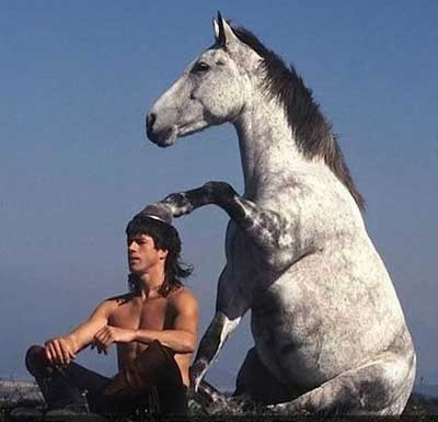 我的内力都给你吧动物gif搞笑图片