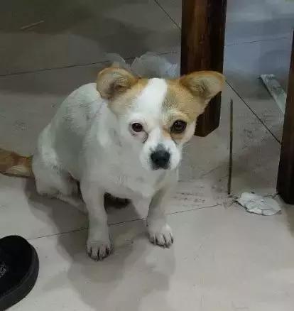 终于知道妹子为什么要画眼妆了动物gif搞笑图片