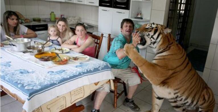 土豪已经不满足于饲养猫狗作为宠物动物gif搞笑图片