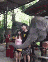 大象呜呜呜动物gif搞笑图片