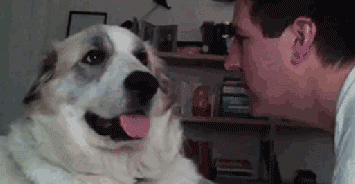 凑过来我还不满足你动物gif搞笑图片