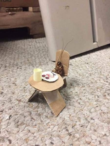 请用餐动物gif搞笑图片