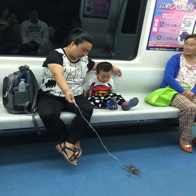 小孙子的宠物动物gif搞笑图片