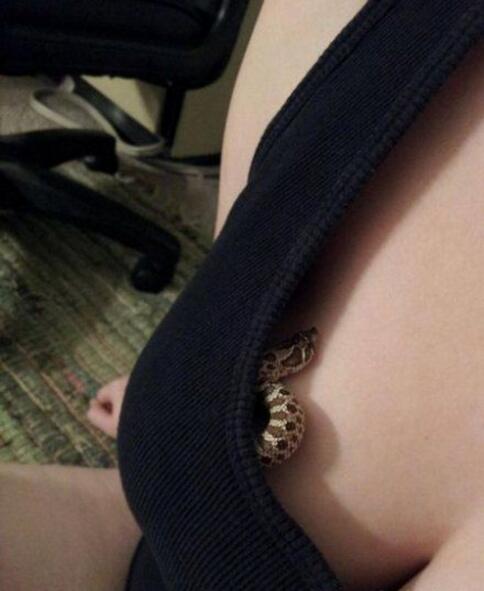 这就是农夫与蛇的故事动物gif搞笑图片