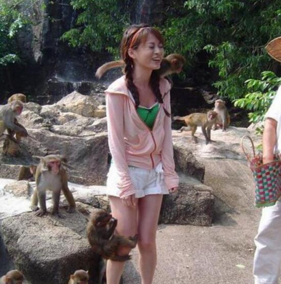 这只猴子真调皮动物gif搞笑图片