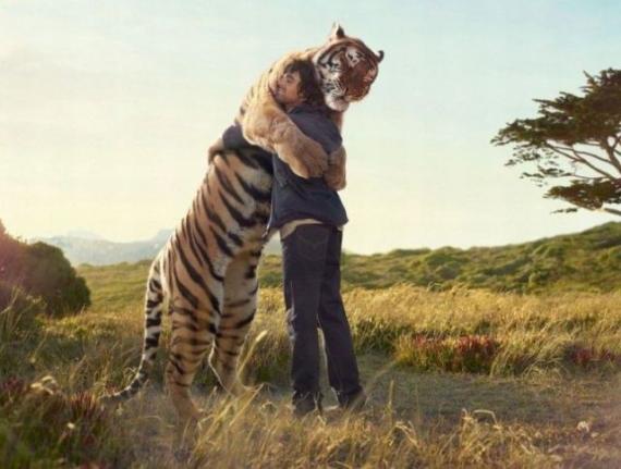 武松当年是怎么胜利的？动物gif搞笑图片