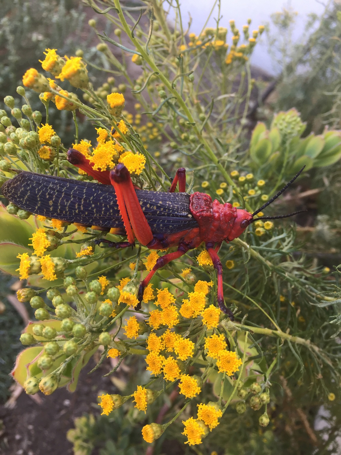 在公园抓到的小家伙，今晚可以当汤料啦动物gif搞笑图片