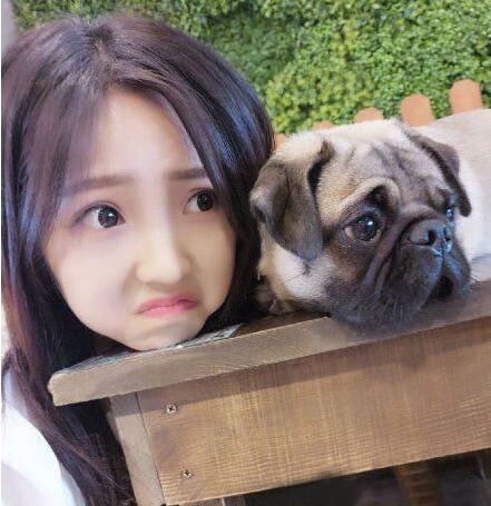 组团卖萌这是动物gif搞笑图片