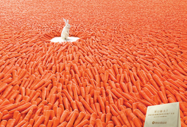 偶们超爱吃的就是胡萝卜啦动物gif搞笑图片