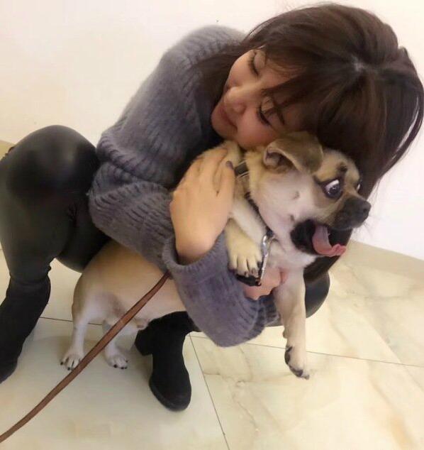 你放开我啊动物gif搞笑图片