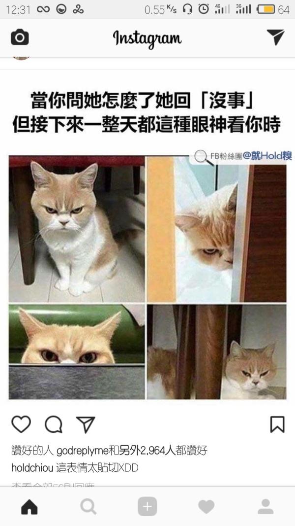 和女朋友的相处之道动物gif搞笑图片