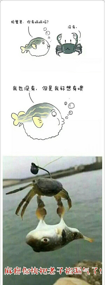 用双手成就朋友的梦想动物gif搞笑图片