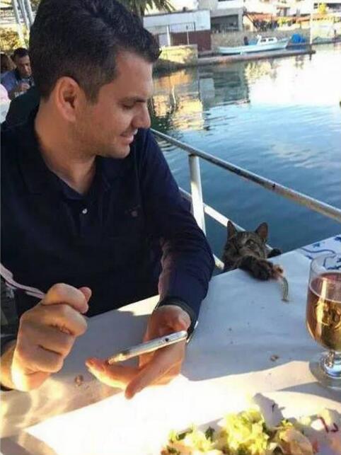 大叔，你不要的这个可以给我吗？动物gif搞笑图片