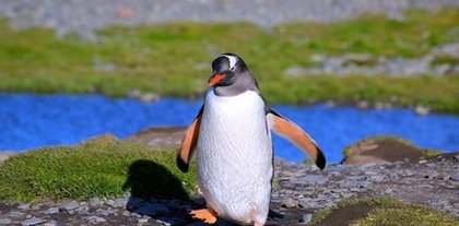 在不疯狂就老了，疯狂过后发现老的更快.....动物gif搞笑图片