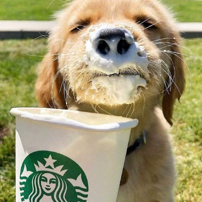 长得丑就是病，不然为什么整形医院叫医院。动物gif搞笑图片