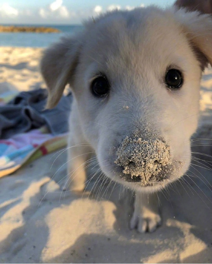 不要把别人想的太坏，也不要把别人想的太好，都是凡人。动物gif搞笑图片
