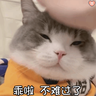 乖啦 不难过了动物gif搞笑图片