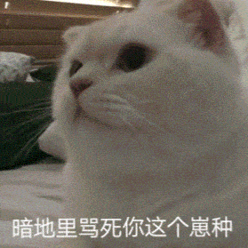 怼人：暗地里骂死你这个崽种动物gif搞笑图片