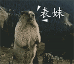 咆哮的土拔鼠1动物gif搞笑图片