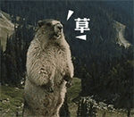 咆哮的土拔鼠2动物gif搞笑图片