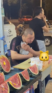 谁不爱吸猫猫呢动物gif搞笑图片