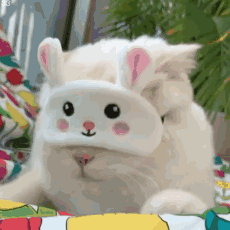 咦，什么东西？？动物gif搞笑图片