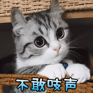 不敢吱声动物gif搞笑图片