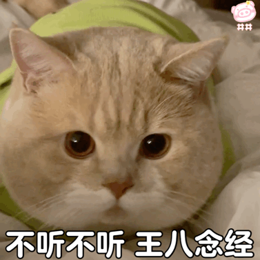 不听不听 王八念经动物gif搞笑图片