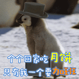 各个个回家吃月饼，只有我一个要加班动物gif搞笑图片