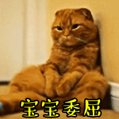 宝宝委屈动物gif搞笑图片