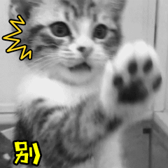 别和朕说话动物gif搞笑图片