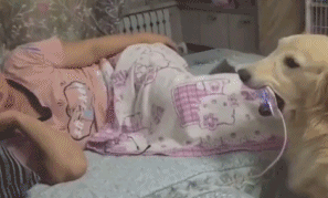 备胎的命，尽心尽力她却不爱你动物gif搞笑图片