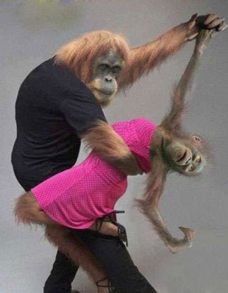 销魂的姿势，果断亮瞎世人动物gif搞笑图片