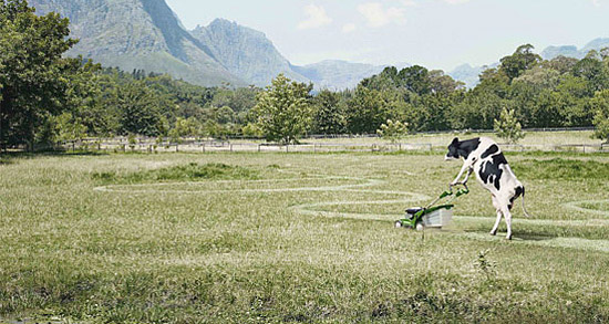 自己的草原，自己来耕耘动物gif搞笑图片
