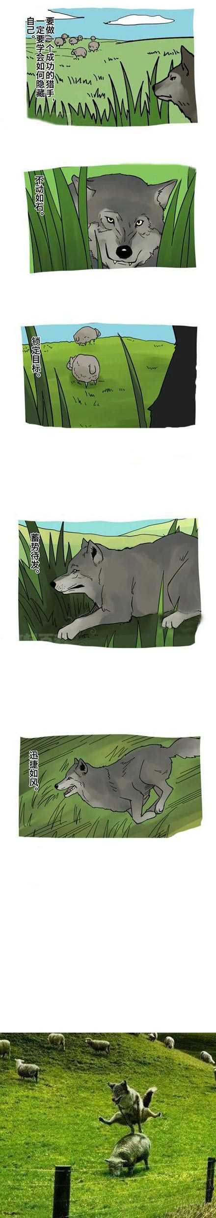 你计划的那么缜密就是为了玩山羊跳动物gif搞笑图片