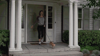 要是我，就抓后面这个动物gif搞笑图片