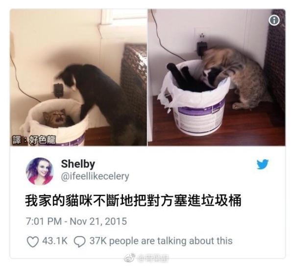 两个流氓软件试图强制删除对方动物gif搞笑图片