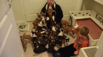 家里养了16只狗狗是种什么感觉动物gif搞笑图片