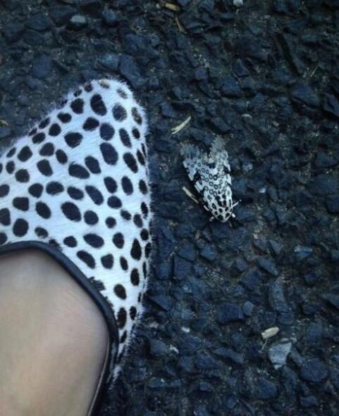 艾玛，一不小心撞衫了动物gif搞笑图片