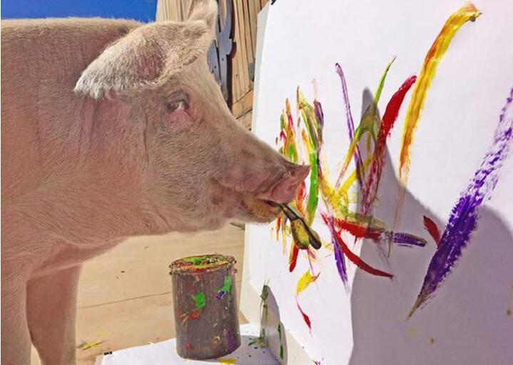 都会画画了，厉害了word八戒动物gif搞笑图片