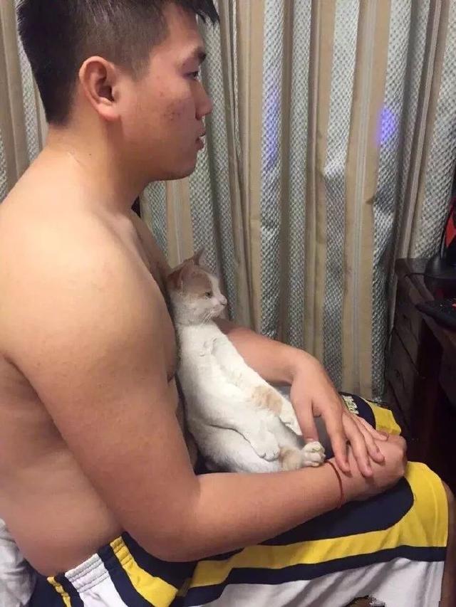 看电视呢，谁在偷拍动物gif搞笑图片