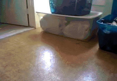 完美的停车入库，没有一点瑕疵动物gif搞笑图片