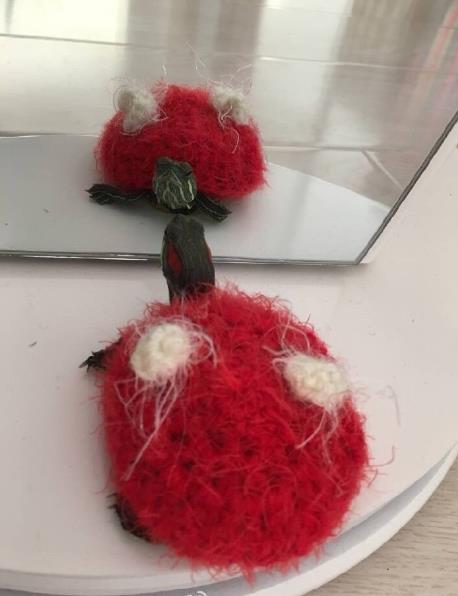 天好冷，给小乌龟织了件毛衣动物gif搞笑图片