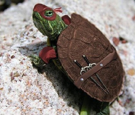 剑客动物gif搞笑图片